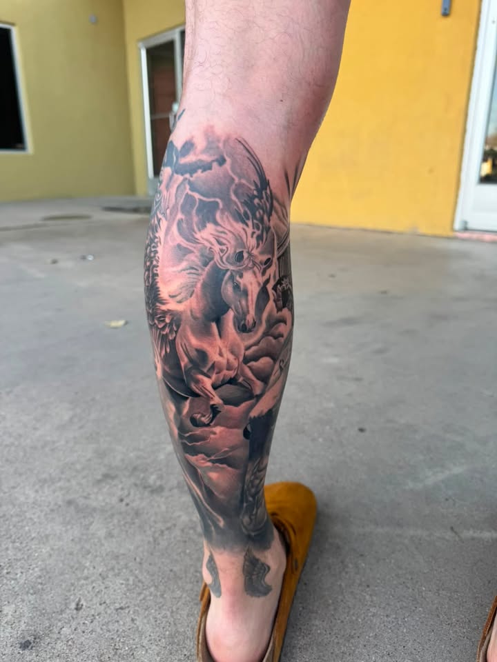 MICHAEL AGUIRRE work 5